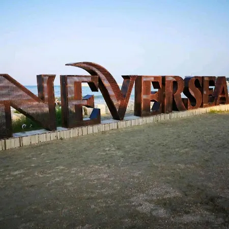 Dolphin Near Neversea * Constanţa