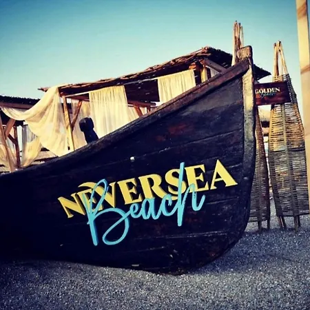 Dolphin Near Neversea Constanţa