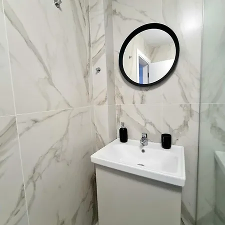 Dolphin Near Neversea コンスタンツァ