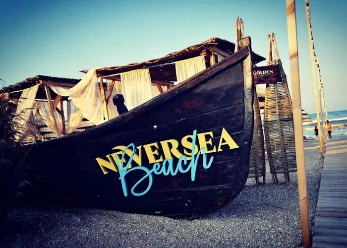 Dolphin Near Neversea Constanta