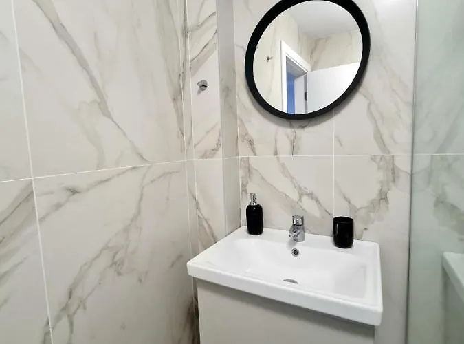 Dolphin Near Neversea Constanta