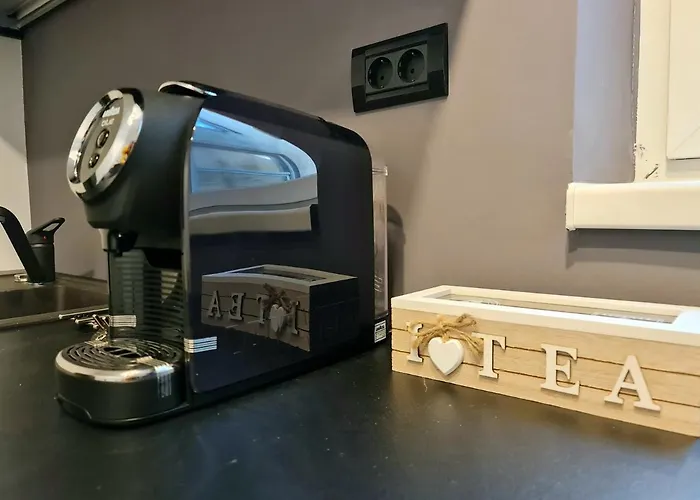 Apartment Dolphin Near Neversea Constanta