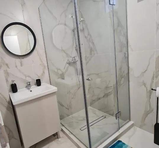 Dolphin Near Neversea * Constanta