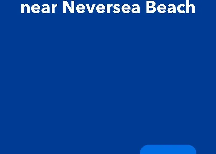 Dolphin Near Neversea Constanta